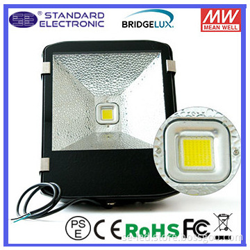 Pure White High Lumen 100W Bridgelux 5 years warranty light tunnel
